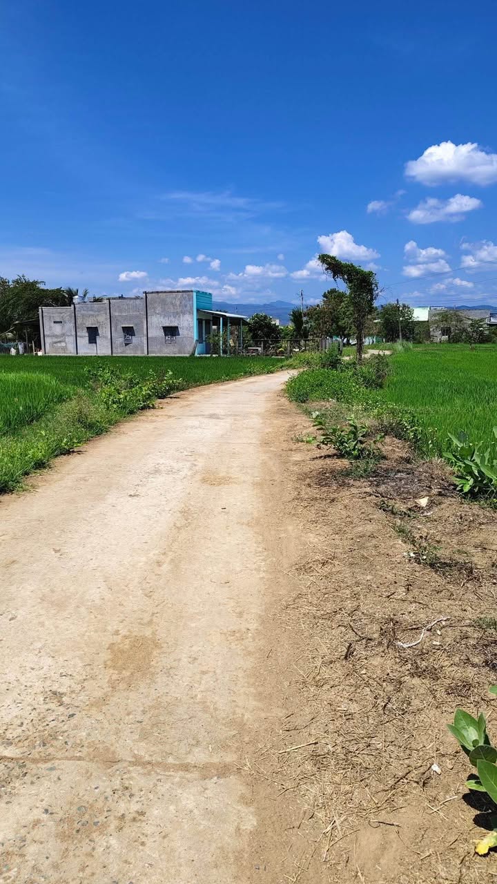 Đất trồng cây 3700m² tại Hàm Trí, Bình Thuận - Sổ đỏ, giá 5.76 tỷ