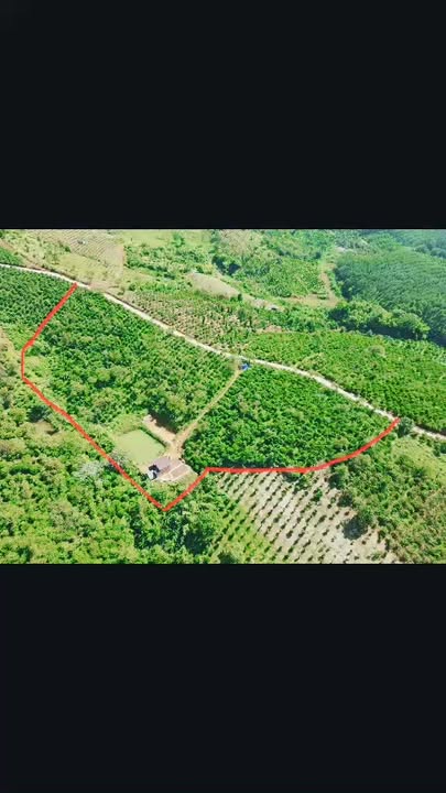 Đất Rẫy Đắk Ru, Đắk Nông 1.4ha giá 650 triệu - Cơ hội đầu tư tốt!