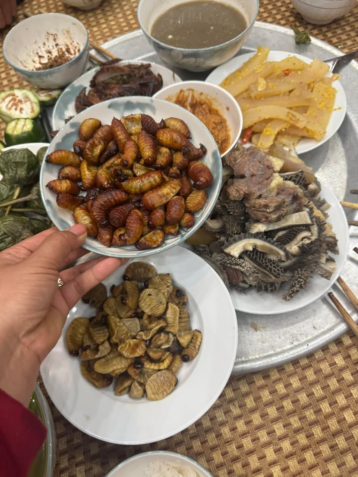 Đất Mộc Châu - Sổ Đỏ 268m² - Kinh Doanh Đắc Lộc