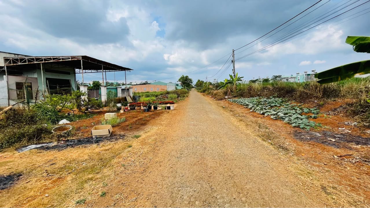 Đất nền 100m² hẻm Lạc Long Quân, Pleiku - Sổ đỏ thổ cư 1.1 tỷ