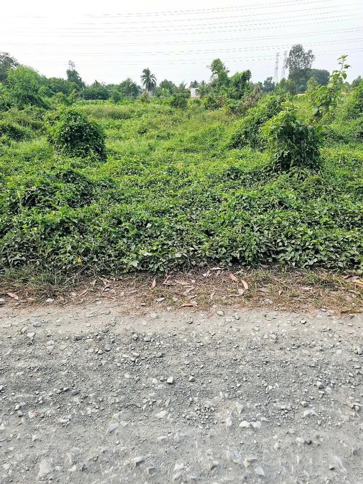 Đất nền Đức Hòa Long An 400m² giá 1.75 tỷ - Sổ đỏ chính chủ!