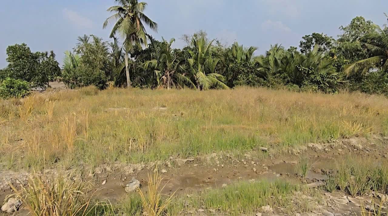 Đất nền Thạnh Hóa Long An hơn 2000m² giá 1.87 tỷ - Sổ đỏ chính chủ