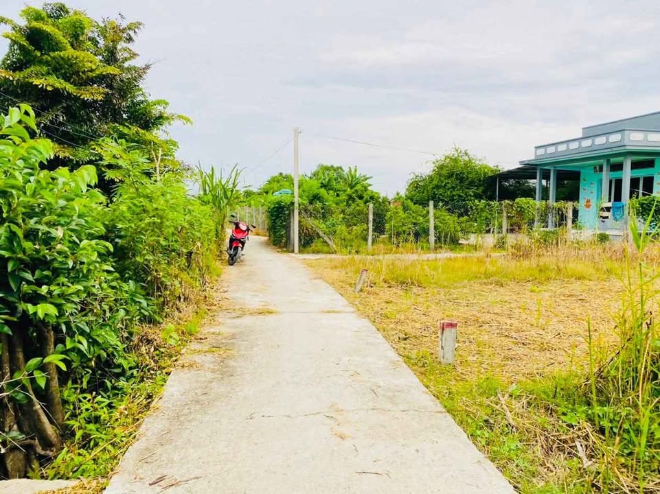 Đất Nền Phước Lâm Cần Giuộc Long An 97m² Sổ Hồng Riêng - Giá Đầu Tư 800 Triệu