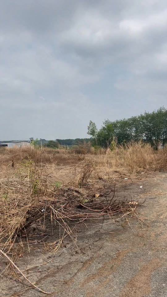 Đất Vàng Đồng Phú 174m² Sổ Sẵn - Đầu Tư Sinh Lời Ngay