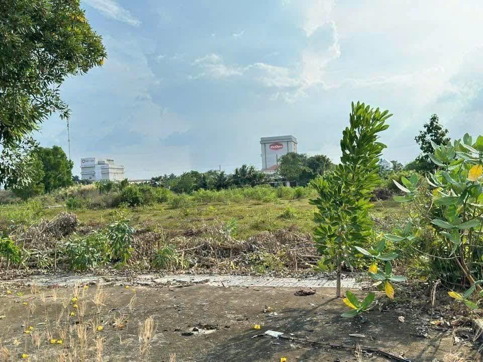 Đất nền Long An 100m² - Ngay KCN Long Cang, Sổ Thổ Cư