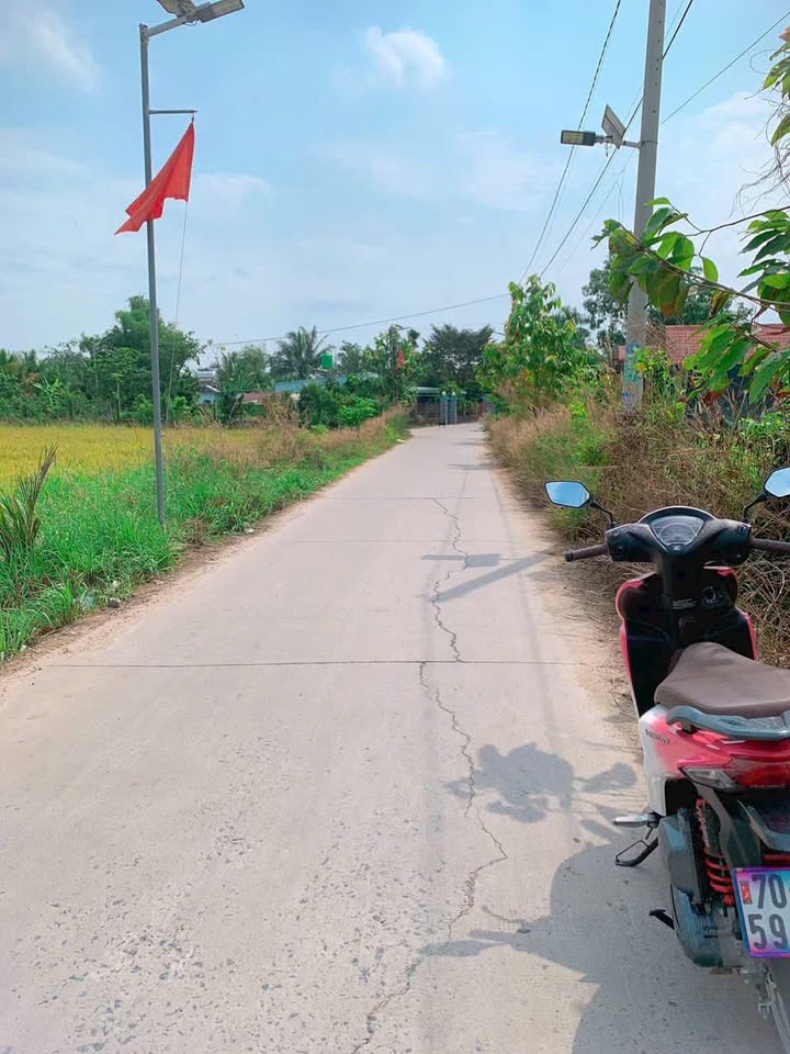 Đất Nền Cần Giuộc 160m² - Sổ Hồng Full Thổ Cư, Giá 999 Triệu/Lô