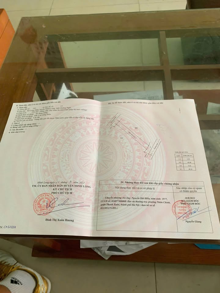 Đất nền Minh Long - Quảng Ngãi 225m² Hướng Đông Nam, Giá chỉ từ 4xx Triệu/Lô