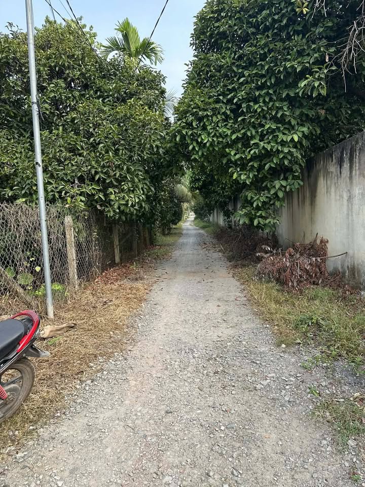 Đất Vườn An Sơn, Thuận An 520m² giá 6.2 tỷ - Sổ hồng rõ ràng!