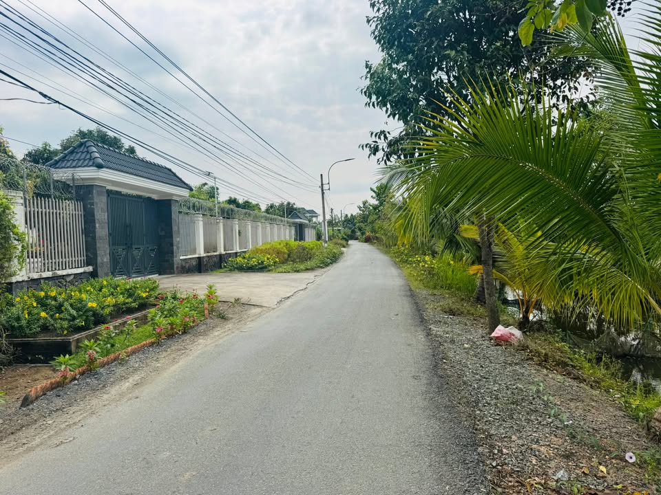 Đất Vườn Lộc Trung, Cần Giuộc - 484m² Sổ Hồng Vuông Vắn, Giá 720 Triệu