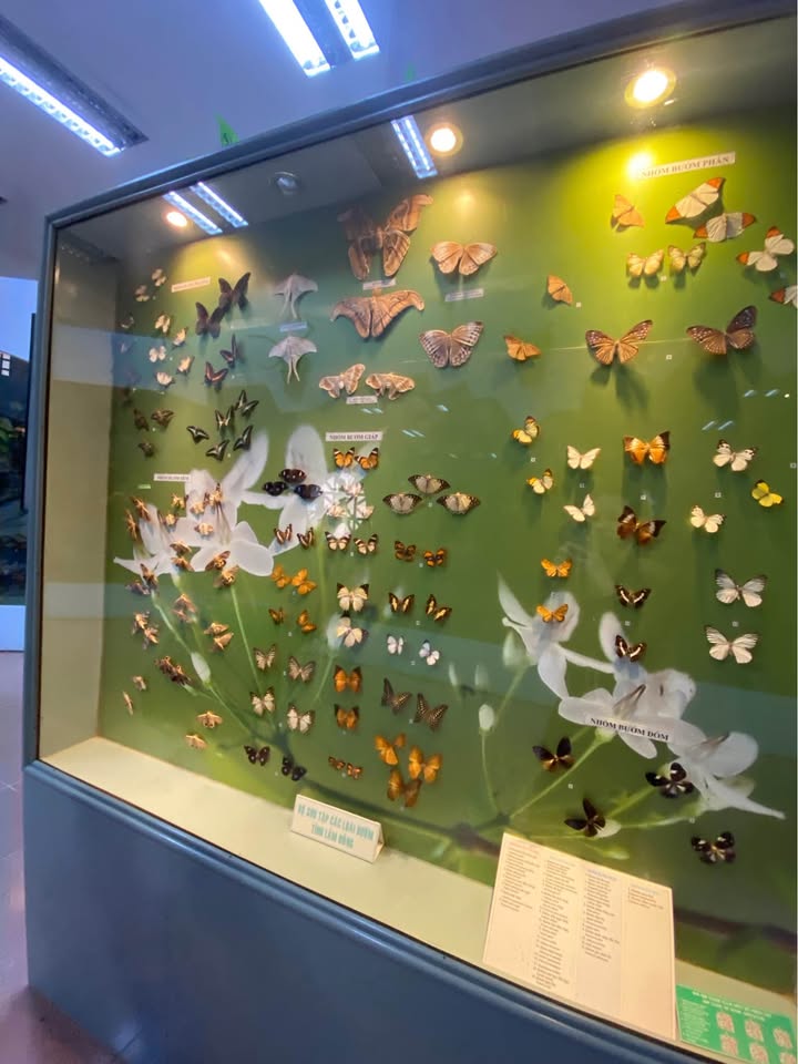 Cho Thuê Mặt Bằng Kinh Doanh 25 Hùng Vương, Đà Lạt - Sẵn Sàng Đón Khách