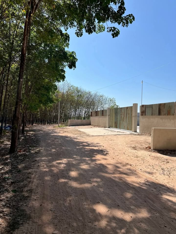 Đất Nền Bến Cát 1000m² - Sát KCN Mỹ Phước - Giá Tốt