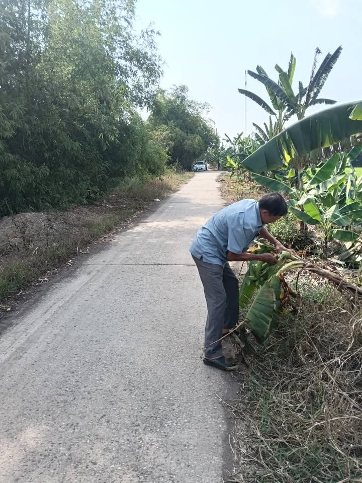 Đất ruộng Lương An Trà 50400m² - Giá đầu tư tốt, duy nhất!