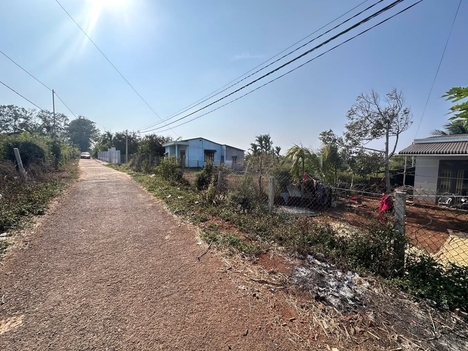 Đất Vườn Phú Yên 1743m² Sổ Đỏ Riêng - Đầu Tư Dài Hạn