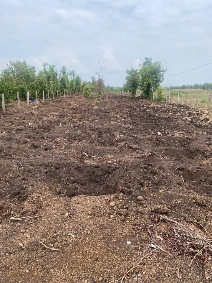 Đất nền Quảng Hiệp, Cư M'gar 2907m² - Tiềm năng tăng giá vượt trội!