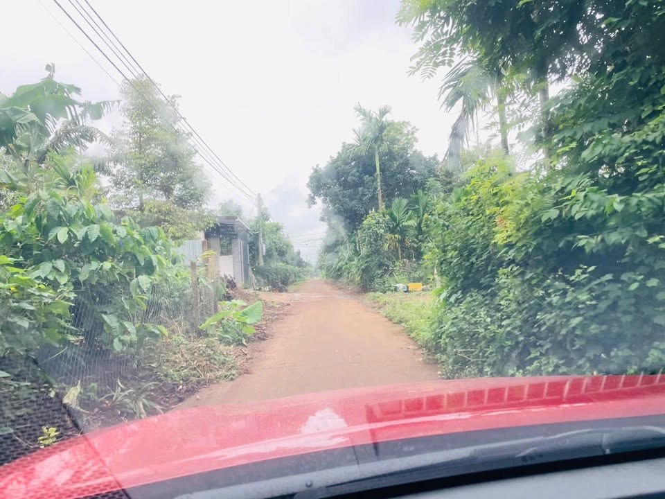 Mặt tiền Đường D3, Tân An, Buôn Ma Thuột - 180m² Thổ cư, Giá 1.75 tỷ