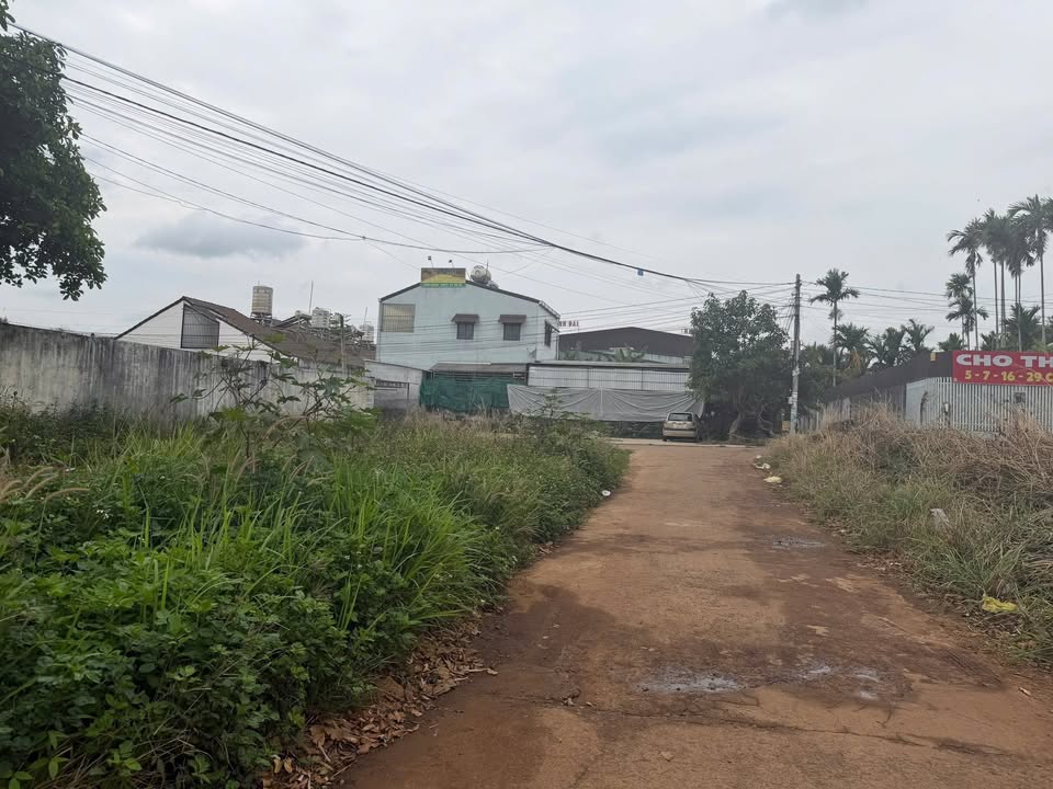 Đất Vành Đai 30/4 BMT 176m² - Đường ô tô, tiềm năng tăng giá!