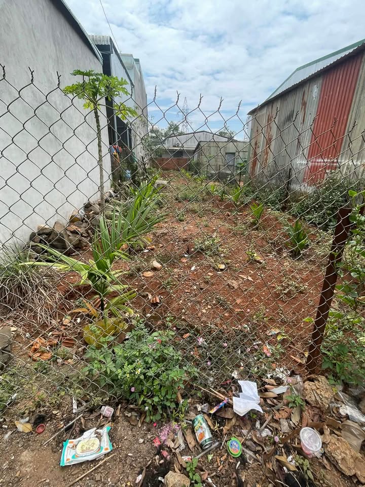 Đất nền Ea Đar 150m² Đắk Lắk - Đất thổ cư 100% sẵn sàng xây dựng!