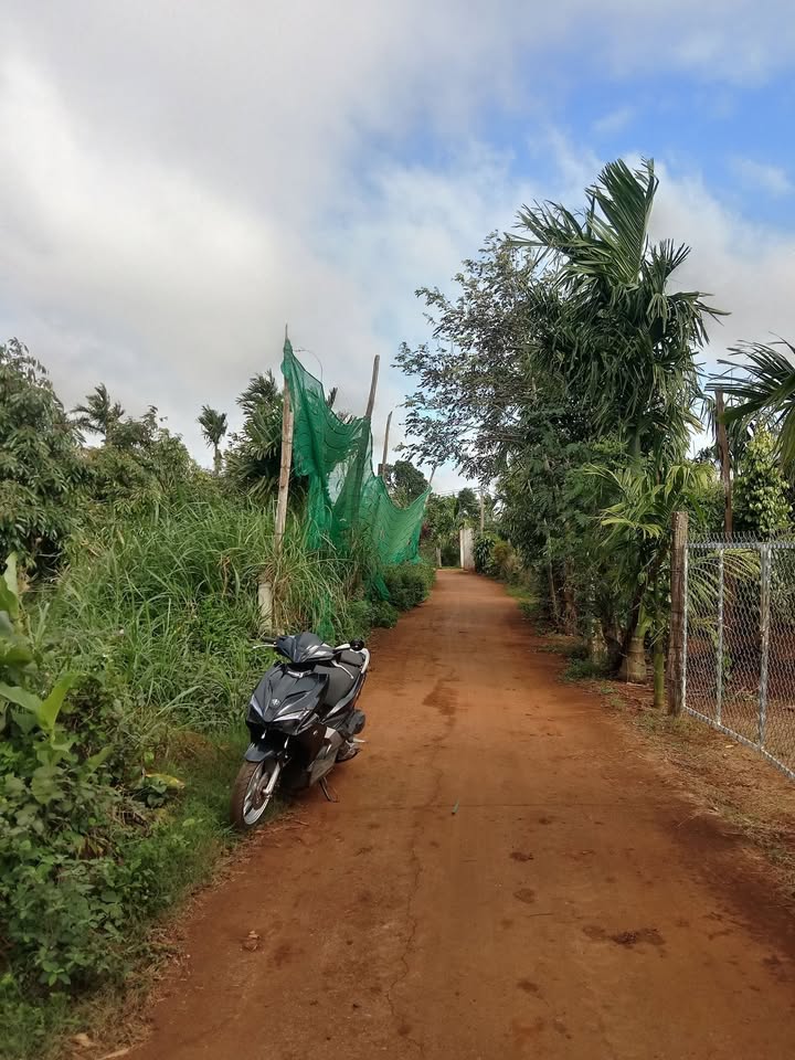 Đất nền 441m² Xã Cư Bao, Buôn Hồ - Sổ hồng trao tay, Giá 650 triệu