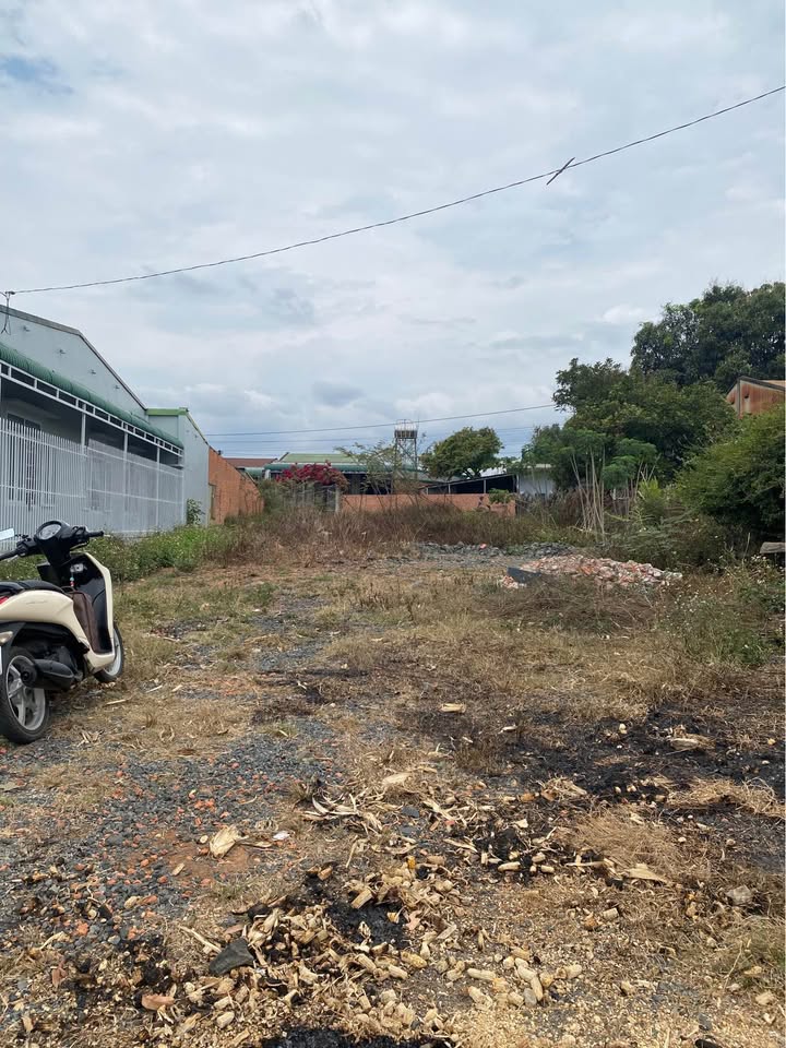 Đất 2 Mặt Tiền Tỉnh Lộ 5, Buôn Đôn - 492m² Sẵn Sổ Hồng, Giá 2.4 Tỷ