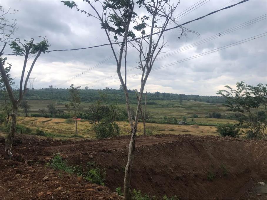 Đất Vườn Gia Lai 3200m² Mặt Tiền QL25 - Sẵn Sàng Đầu Tư Lâu Dài