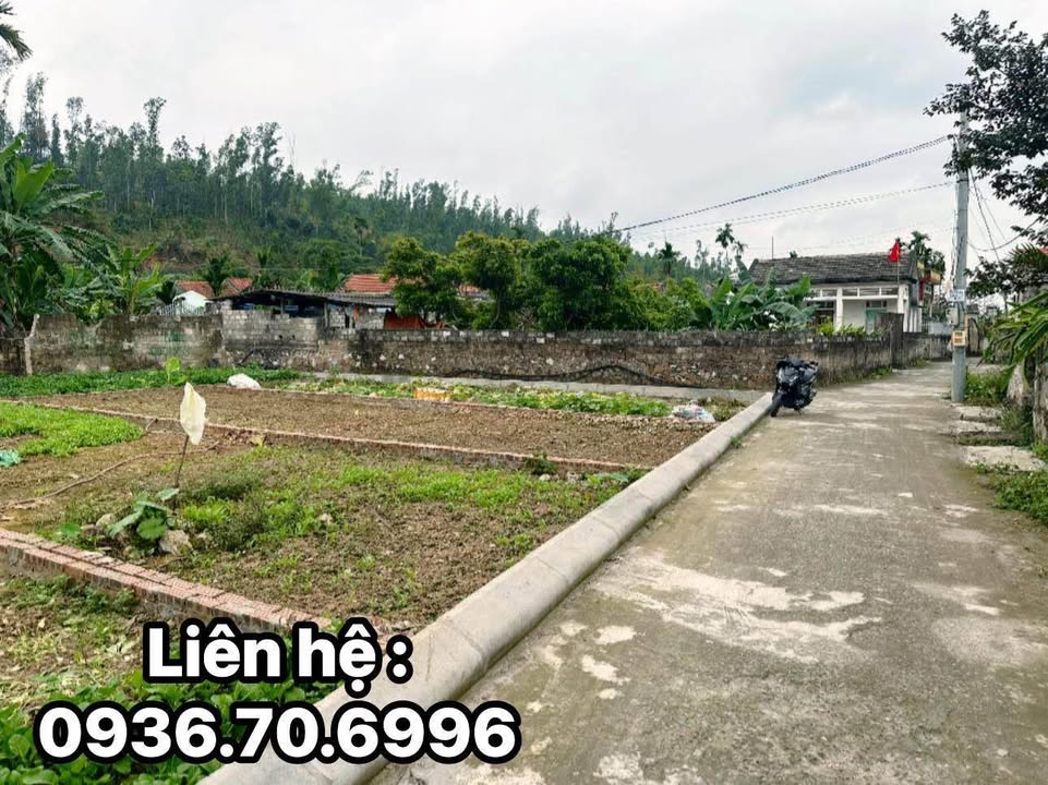 Đất nền Liên Xuân, Thủy Nguyên 66.8m² giá 779 triệu - Sổ đỏ chính chủ!