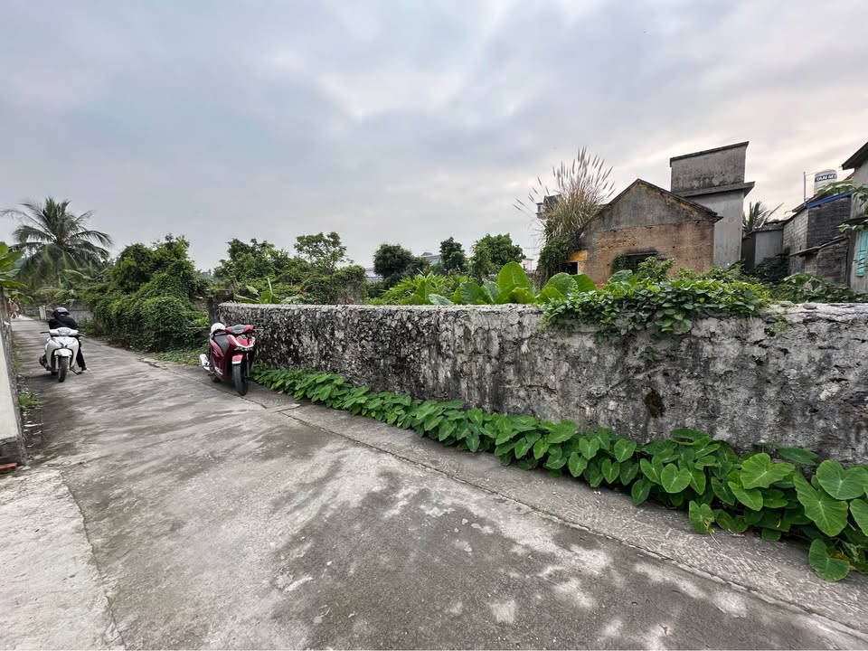 Lô Đất An Sơn, Thủy Nguyên 300m² - Sổ đỏ chính chủ!