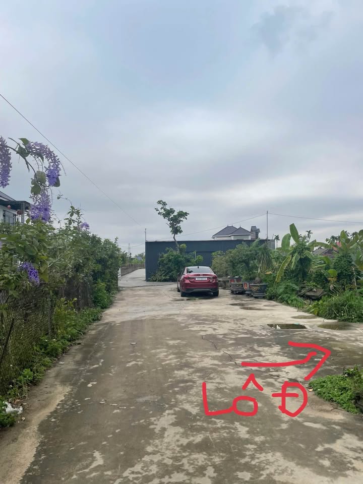 Đất nền An Lão 61m² giá 1.4 tỷ - Sổ đỏ chính chủ, ô tô vào tận nơi!