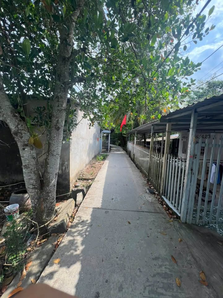 Nhà Cấp 4 Hưng Phú Cần Thơ 83m² - Giá 980 Triệu, Sẵn Sàng Dọn Vào Ở!