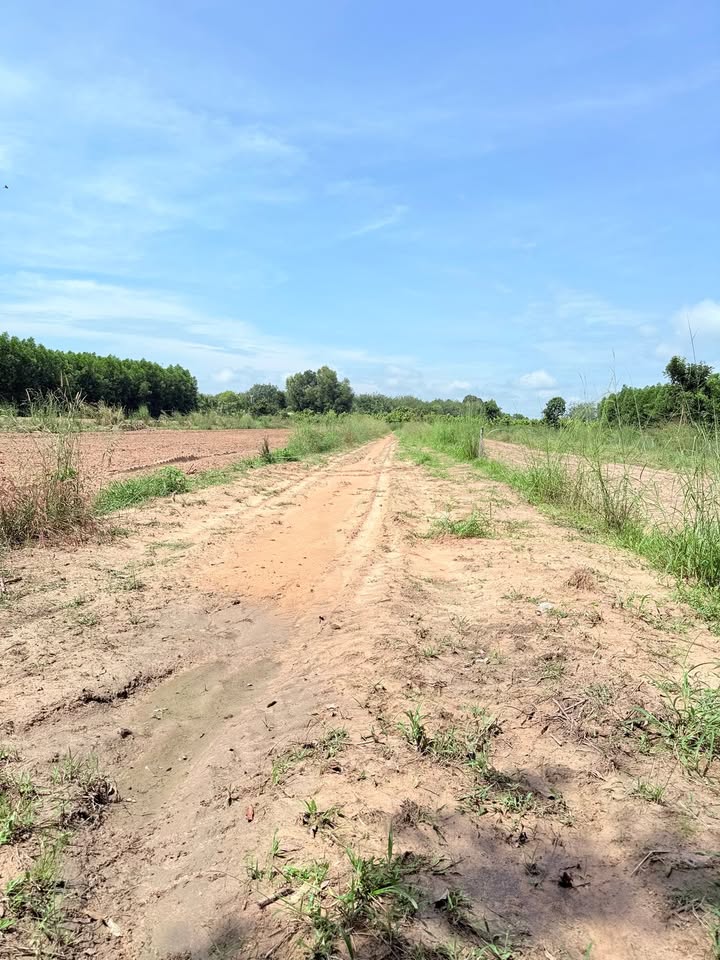 Đất nền Minh Hòa Dầu Tiếng 1000m² giá 680 triệu - Tiềm năng tăng giá