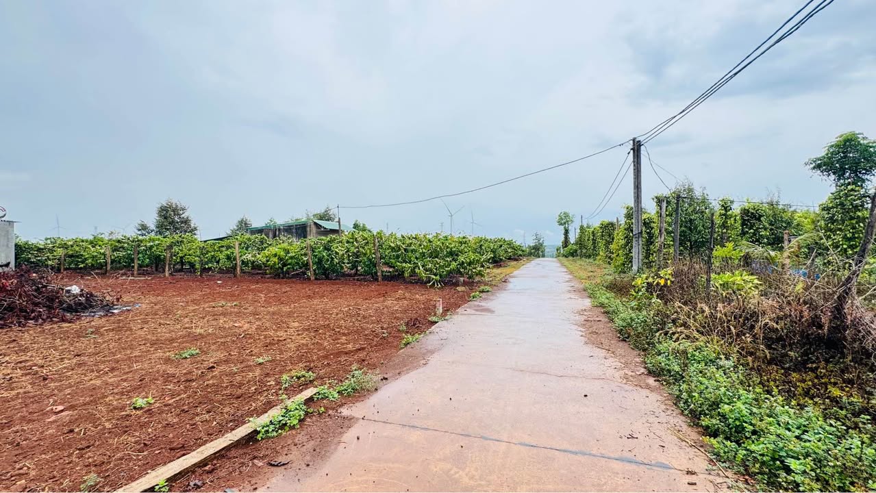 Đất nền Trần Can Pleiku 450m² - Sổ đỏ chính chủ!