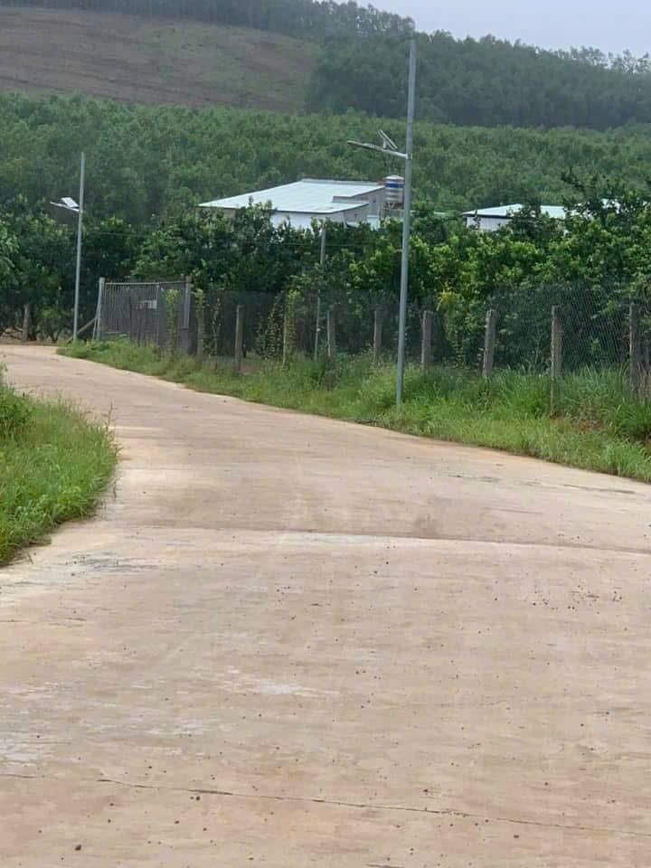 Đất Vĩnh Cửu 1000m² Sổ Riêng Giá 785 Triệu - Cơ Hội Đầu Tư Sinh Lời