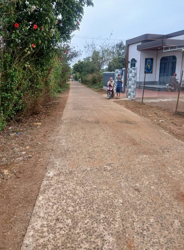 Đất Mặt Đường Kinh Doanh Đắk Mil - 222m² Giá 1 Tỷ