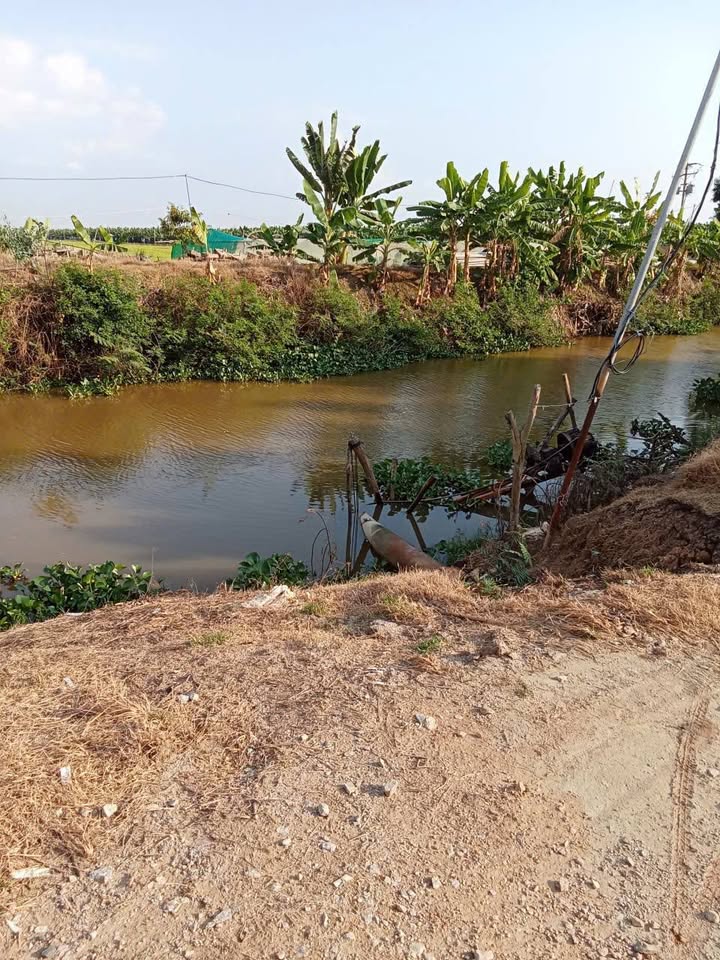 Đất nền Lương An Trà 7200m² - Sổ đỏ chính chủ, vuông vức đẹp