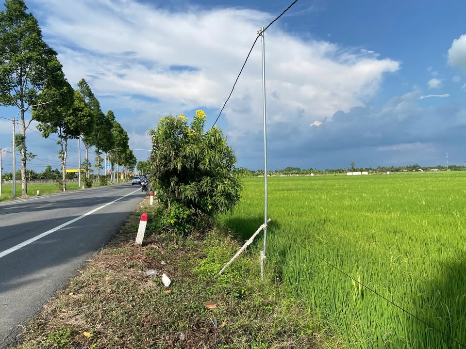 Đất nền Quốc lộ 61C Cần Thơ 2902m² - Tiềm năng tăng giá vượt trội!