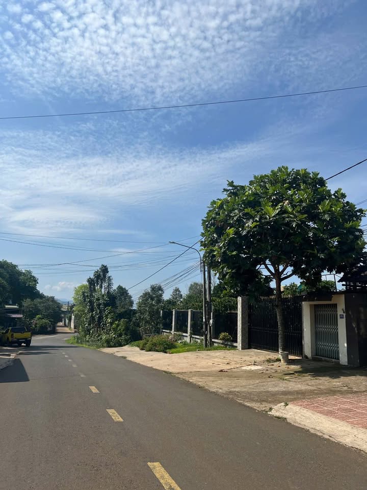 Nhà Mặt Tiền Mạc Đĩnh Chi, Bảo Lộc - 235m², 2 Tỷ 8, Kinh Doanh/Đầu Tư