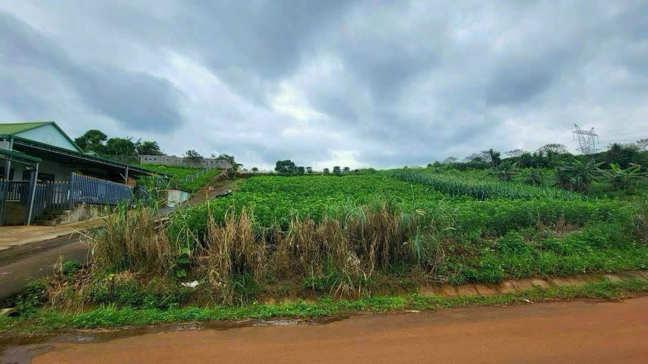 Đất Nền 300m² Mặt Tiền Trần Quý Cáp, Đà Lạt - Sổ Đỏ, Giá Tốt