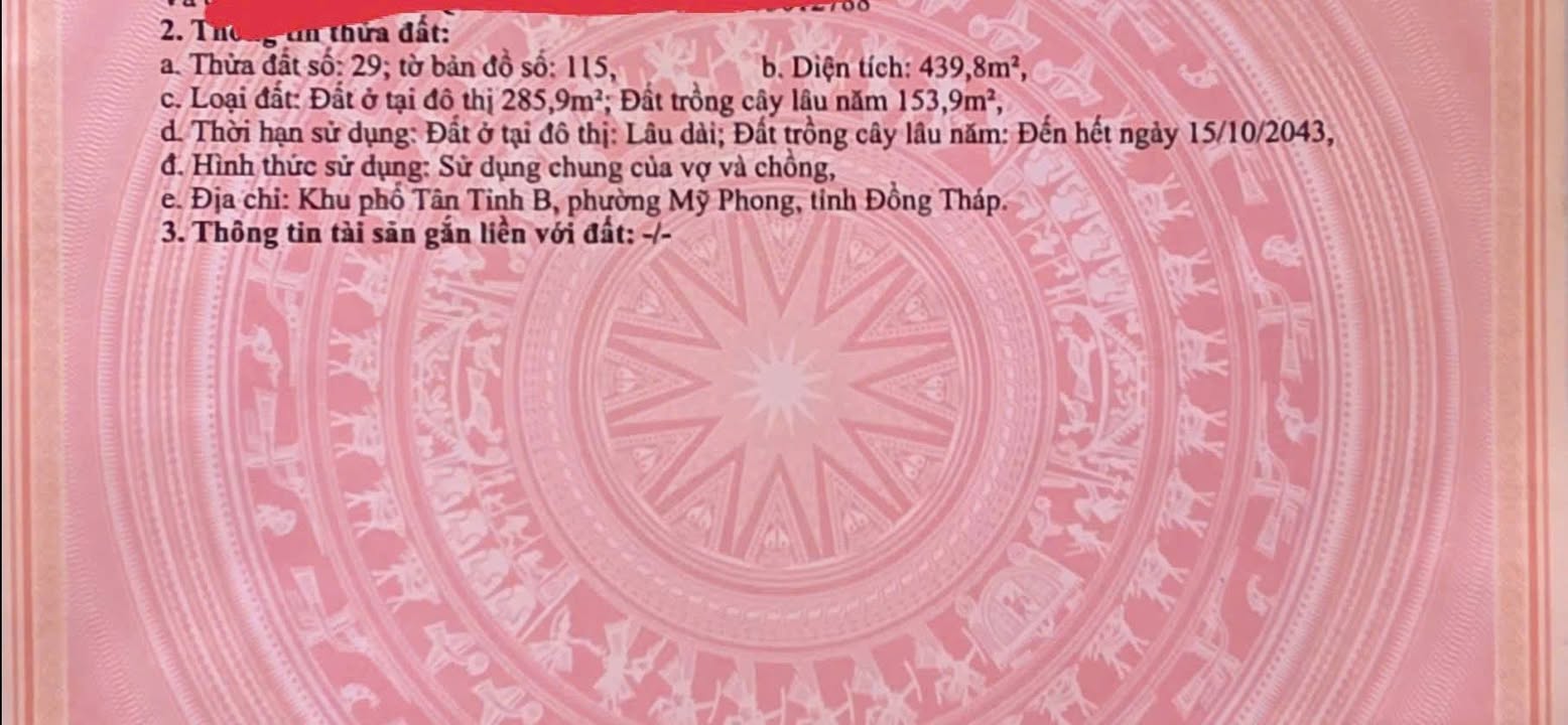 Mặt Tiền QL50 Chợ Gạo 420m² Thổ Cư - Kinh Doanh Đắc Lợi