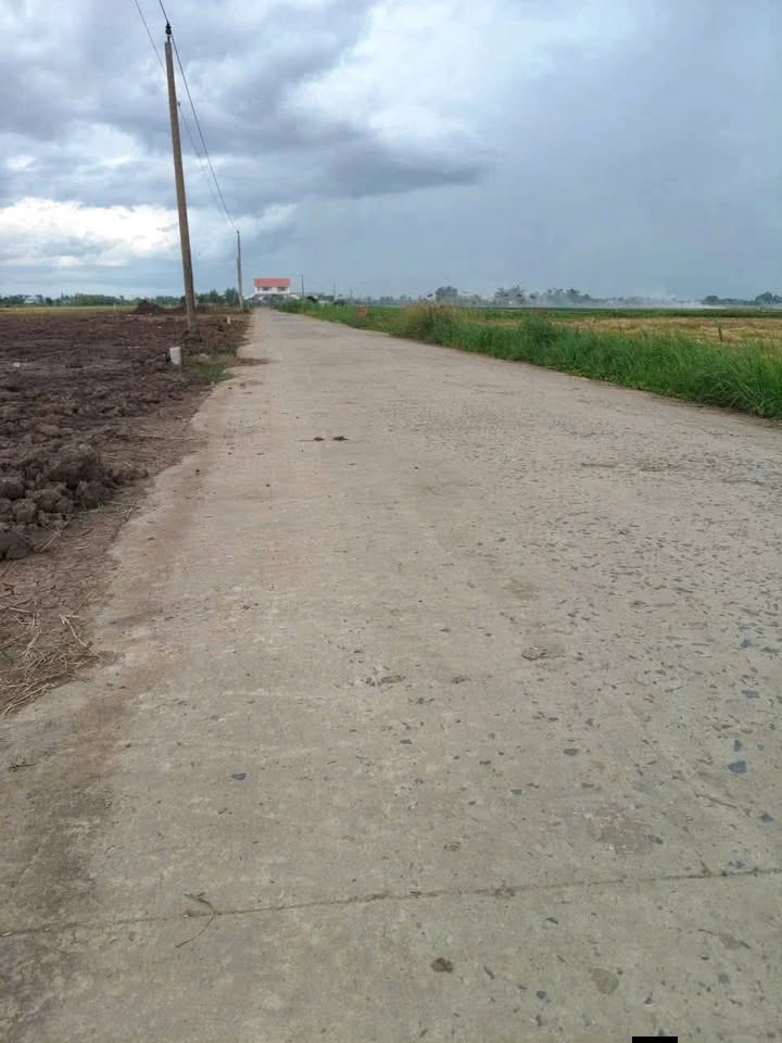 Đất thổ cư Gò Công Đông 378m² - Sổ hồng sẵn, giá đầu tư 800 triệu