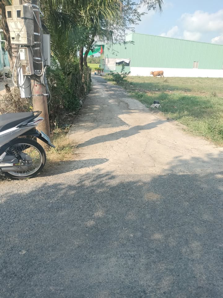 Đất nền Gò Công 130m² - Sổ hồng thổ cư, giá đầu tư 250 triệu