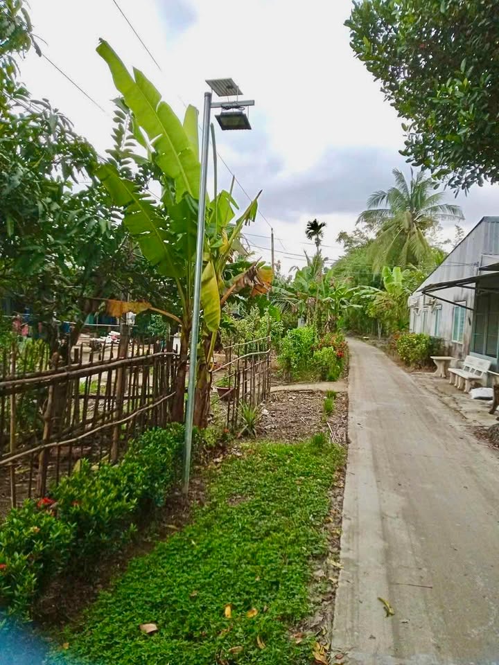 Đất vườn Hiệp Hưng, Hậu Giang 22.000m² giá 4.4 tỷ - Cơ hội đầu tư dài hạn!