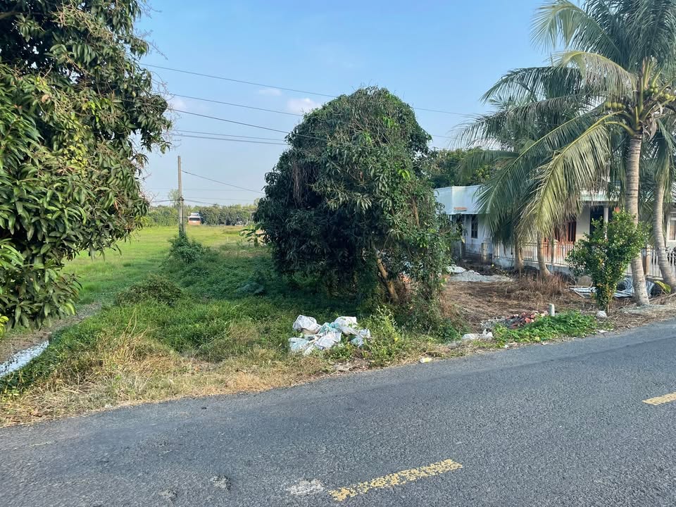 Đất Nền Bình Thạnh, Hồng Ngự 1100m² - Tiềm Năng Tăng Giá Vượt Trội!