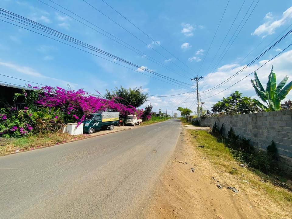 Đất nền Tân Hội, Đức Trọng 6000m² - Sổ đỏ chính chủ, Tiềm năng đầu tư!