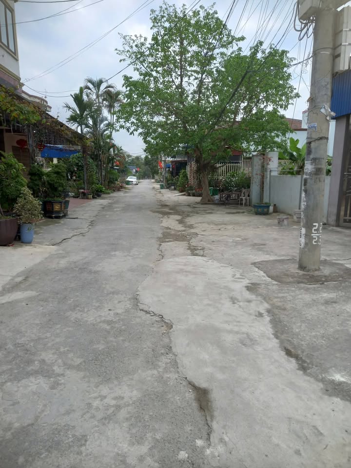 Lô đất 100m² Minh Đức, Thủy Nguyên - Đường to ô tô, xây dựng tự do!