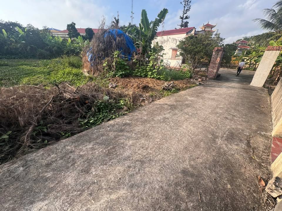 Đất nền Kiến Thiết 597m² - Sổ đỏ chính chủ, tiềm năng tăng giá!