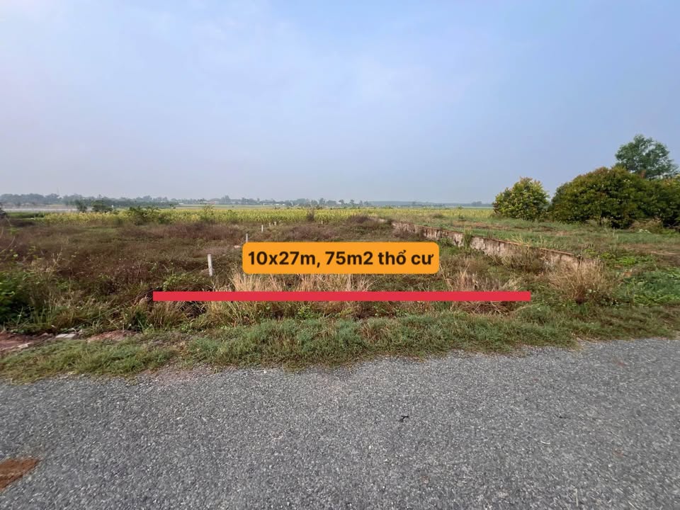 Đất nền Gò Dầu, Tây Ninh 270m² giá 920 triệu - Sổ đỏ chính chủ!