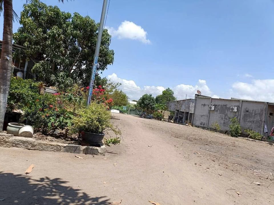 Đất nền Tam Phước, Long Điền 210m² - Đất thổ cư 100% giá 890 triệu