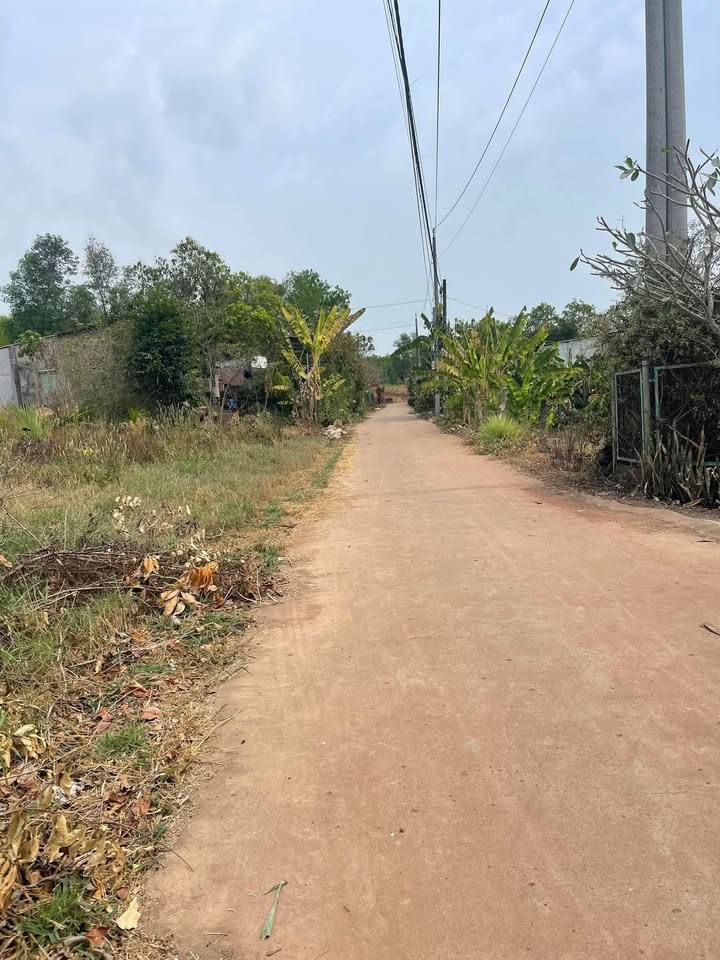 Đất Nền 1000m² Đồng Nai - Sổ Đỏ Riêng, Đường Bê Tông 700 Triệu