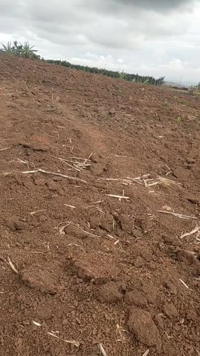 Bán Gấp 17.000m² Đất Đỏ Sỏi Đăk Đoa, Gia Lai - Giá 1.5 Tỷ, Sổ Đỏ