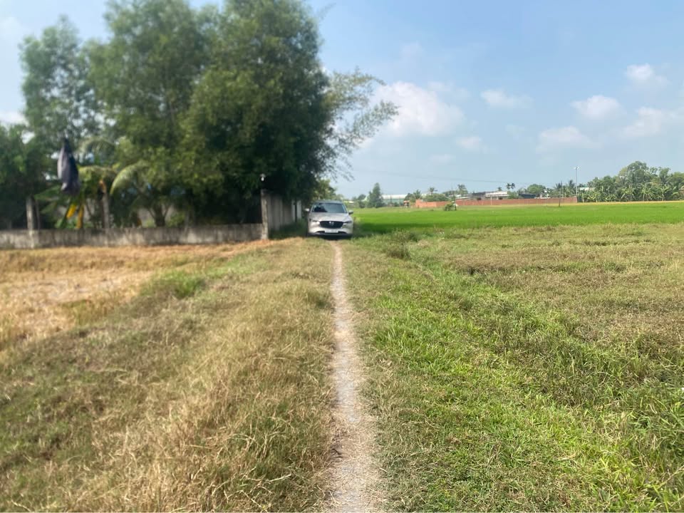 Bán Đất Vườn Đức Hòa Long An 4190m² - Sổ Đỏ, Mặt Tiền Đường 4m