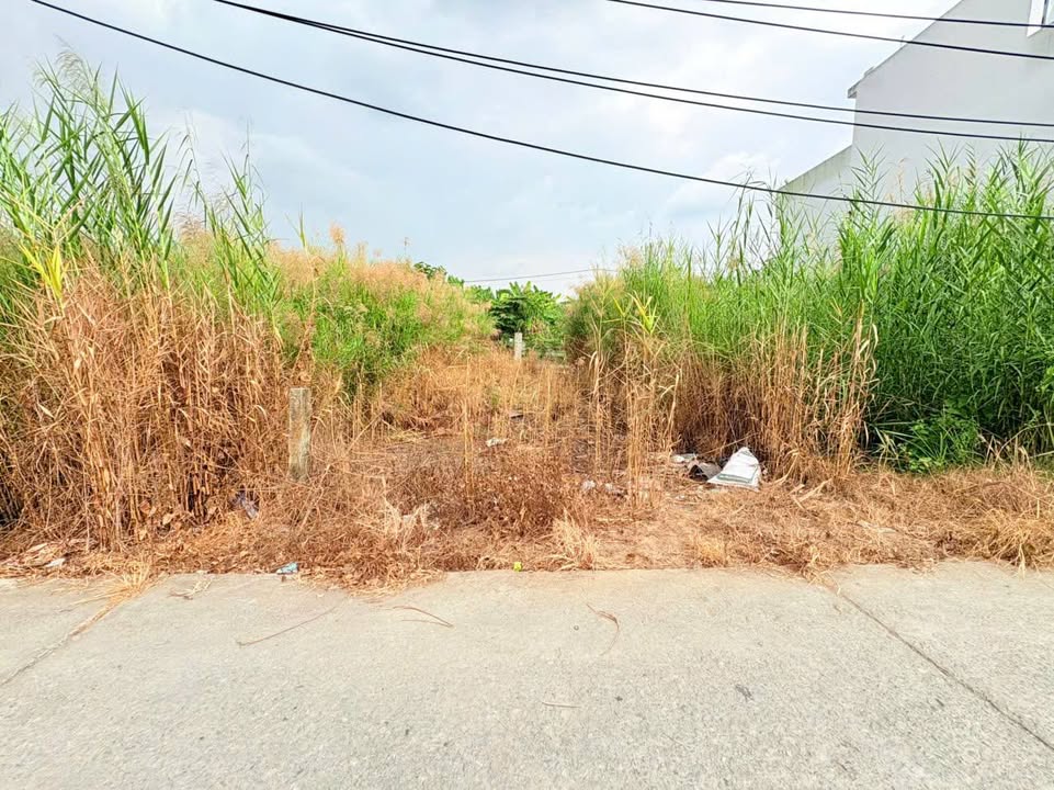 Bán Đất Thổ Cư Nhị Thành, Thủ Thừa 115m² - Sổ Hồng Riêng, Giá 749 Triệu